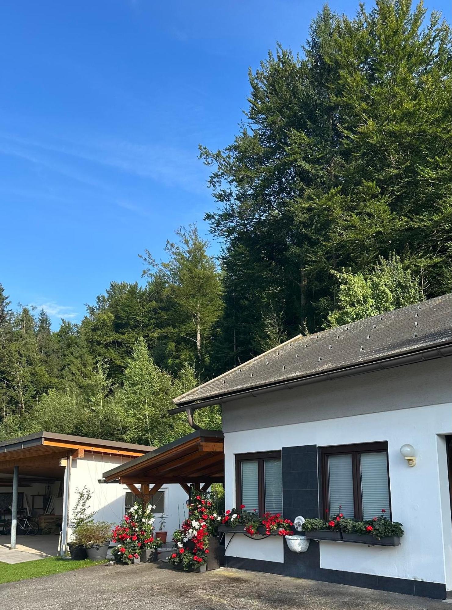 Ferienwohnung Waldblick, Faaker See Oberaichwald  Exteriör bild